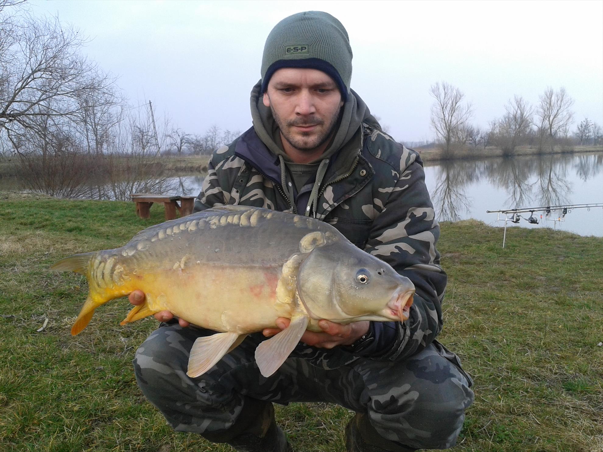 2014-2015 album 3 - 2015